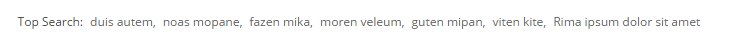 frontend-top-search