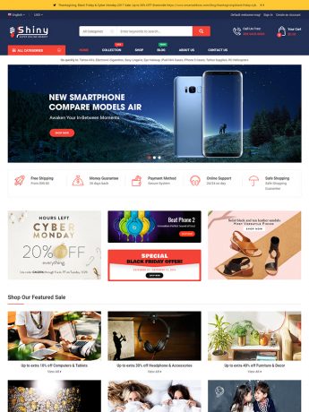 Shiny-WordPress Theme